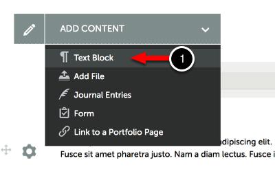 Step 1: Access the Text Editor 1. Use the Add Content menu to select Text Block.