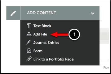 Add File The 'Add File' option allows you to upload files from your computer to your Chalk & Wire eportfolio.