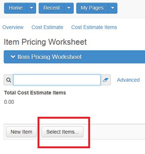 17. In the Budget Class field, click the drop-down arrow and select the budget grouping to which the item belongs, if appropriate. 18.