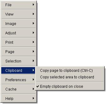 Clipboard menu The clipboard menu provides options to copy the current image into the Windows