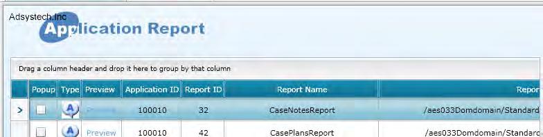 The Application Report TAB will open displaying all of the Application Reports available from the Program Client Search page. 6. Click the Preview link on CaseNotesReport. 7.