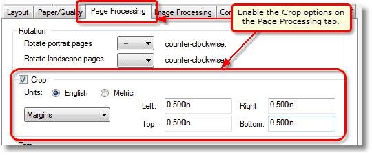 Check the Crop check box to enable the cropping options. Select Margins from the drop-down list of cropping areas.