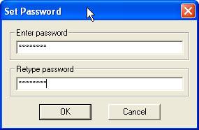 Click the Set Password button to create a