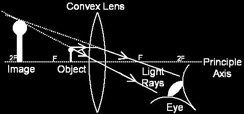 Convex Lenses in the middle than at the edge Light rays or come together as they pass through the lens Image