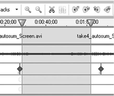 Check Autoextend last video frame Voice Narration Technique Carefully select area to be