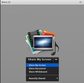 SHARE POD: Screen Sharing (Desktop, Application, Windows) When to use: Software training is conducted using