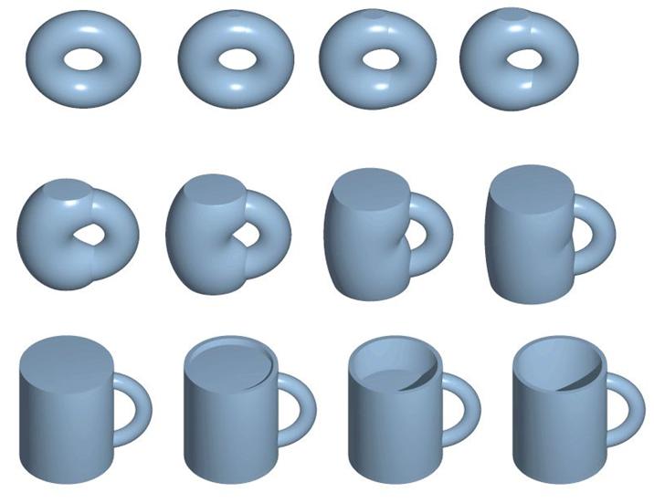 because there is a continuous function which deform a donut to a coffee