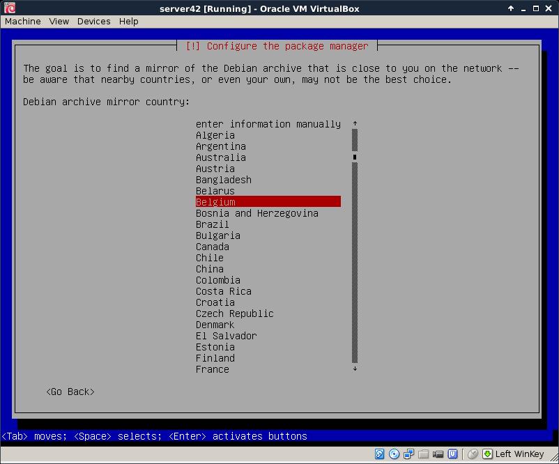 installing Debian 8 Software is