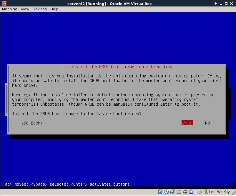 installing Debian 8 Say yes to