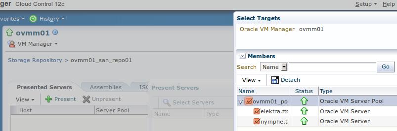 Storage Repository DO NOT forget to present servers Oracle does