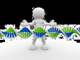 DNA DNA - Deoxyribonucleic