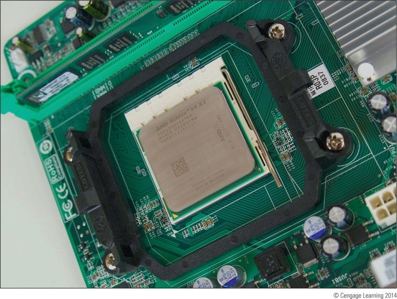 Types and Characteristics of Processors Processor Installed on motherboard Determines system computing power Two major