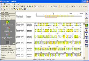 Figure 2-5: Sequences Obtained Screen Adding Annotations from the homologous regions of the two sequences are displayed on a yellow