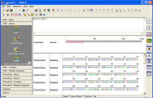 Figure 1-1: Sequence Editor Screen This process is done by performing the following basic functions: 1) Open Reading Frame (ORF) search, 2) Translation, and 3) Amino Acid Motif Search.