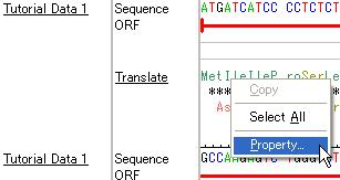 Figure 1-8: Translation Results Screen format will change to one character.