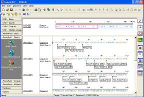 Entering ORF Amino Acid Sequences When you click on the longest ORF in the Sequence View, the corresponding amino acid sequence will be highlighted.