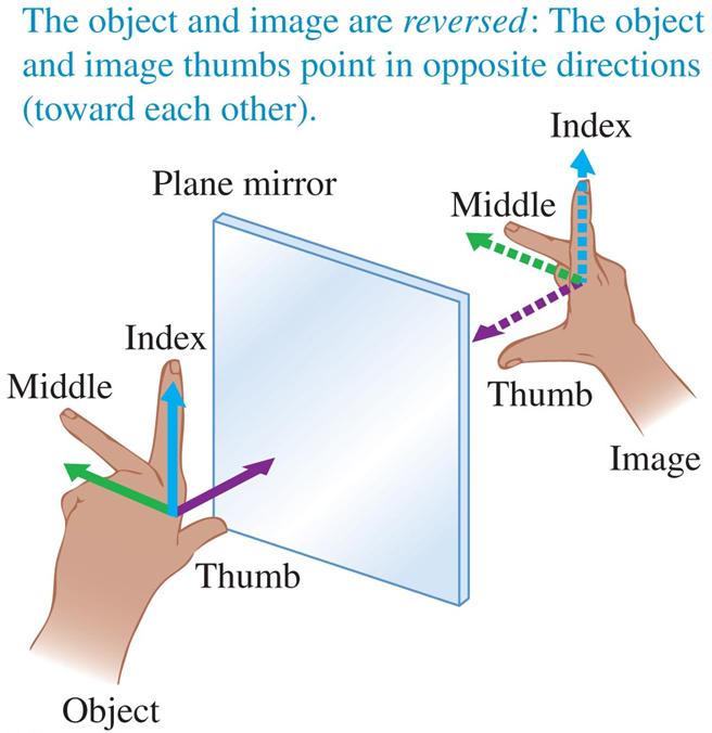 Thus if we were to place an image of height y in front of the mirror, the apparent image would have height y y. In this case, there is no change in the size of the image; the magnification is unity.