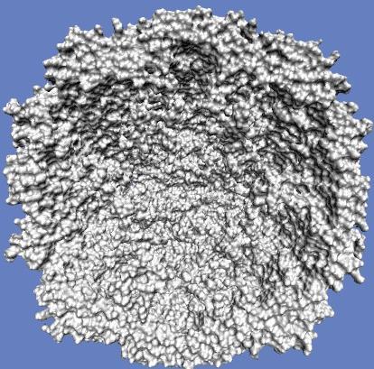 tobacco mosaic virus capsid w/ ~75K atoms Standard OpenGL
