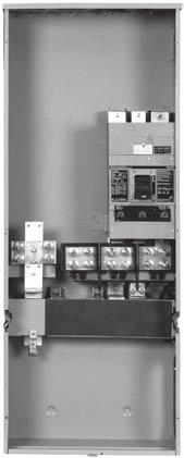 Overview of Families 2 METER WB Standard Circuit Breaker Mains Standard breaker modules (type WB) offer a balance between functionality, feature, and size constraints.
