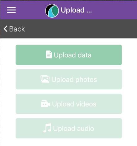 8. If you have collected photos, videos, or audio, you will have to select the appropriate button for each