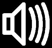 audio in speech capture application