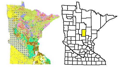 An Example Clip Let s say that you are working in Crow Wing county, MN and want to look at the Pre-Settlement vegetation for the county.