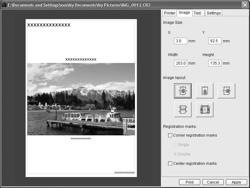 Using the Software on the Windows Platform Advanced Techniques 38 Printing Images Digital Photo Professional offers the following printing methods.