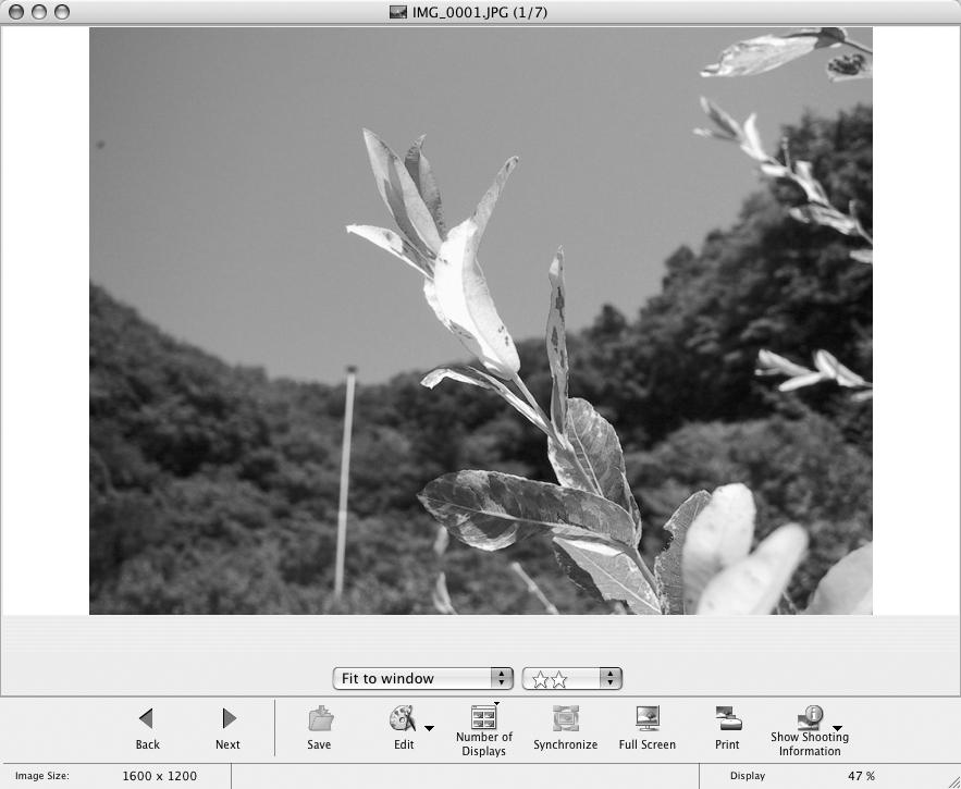 Using the Software on the Macintosh Platform Advanced Techniques 55 Viewer Window Double-click an image in the Browser Area to display it in the Viewer Window. Zoom Changes the image zoom setting.