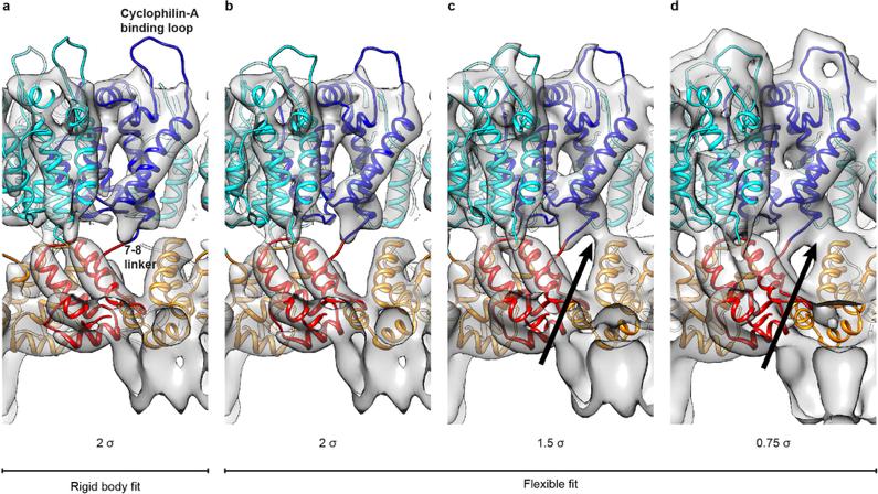 Obtaining atomic-resolution models from lower-resolution EM Often we have high-resolution x- ray crystallography structures of each individual protein in a complex