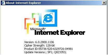 Figure 4-1 The Internet Explorer displaying the encryption key length Newer web browsers generally support strong encryption on default. 4.2 