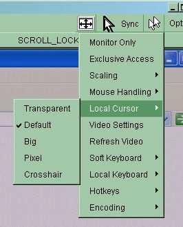 Figure 4-6 Remote Console Options Menu:Cursor Video Settings Opens a panel for changing the IP-KVM video settings. IP-KVM features two different dialogs, which for adjusting the video settings.