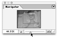 For example, the Navigator palette has a slider at the bottom of the window that controls the magnification of the image (the field is to the left).