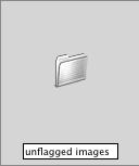 2. Interface Photoshop CS/ImageReady CS for the Web H O T 15. In the File Browser, choose File > New Folder. An untitled folder icon will appear in the preview pane.