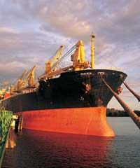 Maritime sector US$m Voice up 3% 60 50 40 30 56.6 49.9 25.6 26.