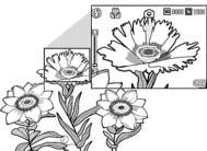 Key Features The illustrations in this manual may differ from the actual product. Equipped with a high magnification 7.
