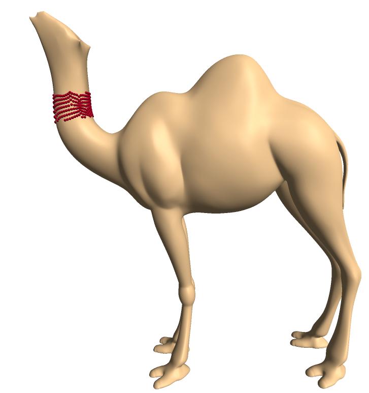 (c) Figure 4: Reconstructing the geometry of the Camel s head using the original connectivity. We removed the geometry from the head (marked in ).