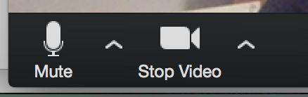 Control video and audio settings: - Mute and Stop Video controls are located along the bottom left of the meeting window.
