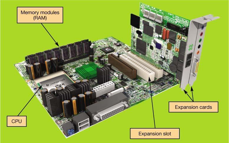 The Motherboard CPU RAM Expansion cards and