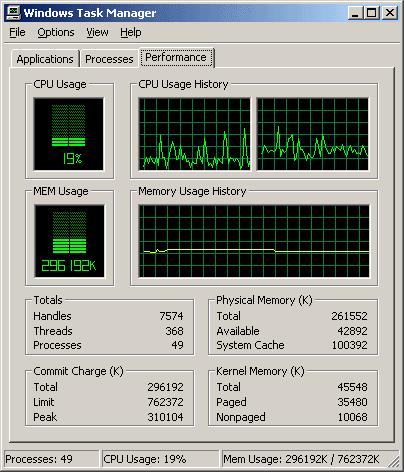 Windows Task Manager 256mb (262000kb) RAM Windows shows RAM