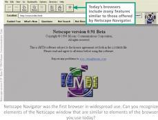 browser Netscape 7 8 4 Web Sites 4 Hypertext Links A Web site typically contains a collection of related information organized and formatted so it can be accessed using a