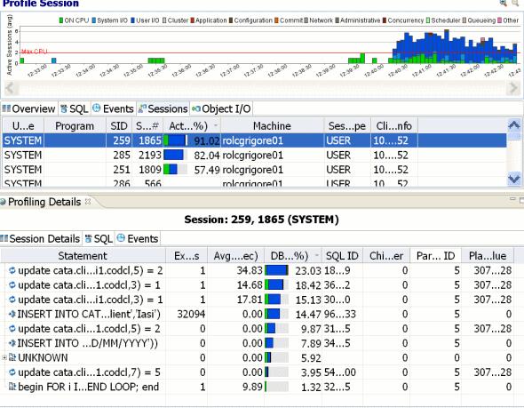SESSION 3: PROFILING A DATA SOURCE > ANALYZING SESSION DATA Profiling Details When you select any item from Top Activity, details are displayed on the Profiling Details view.