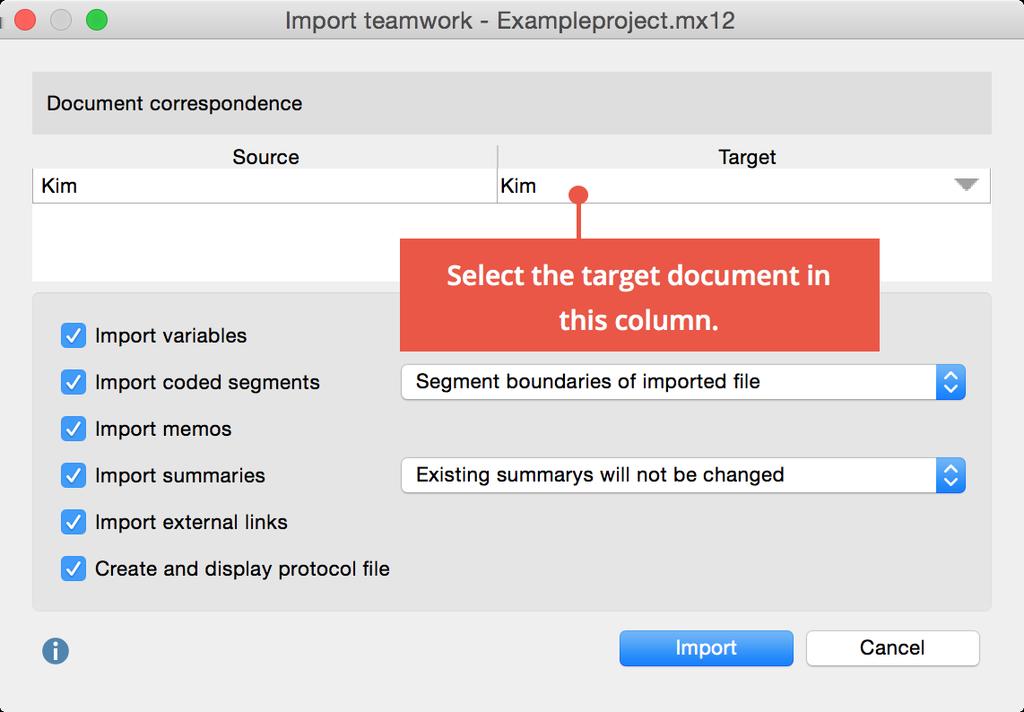 Note: The Teamwork export file contains all coded segments, memos, variables, summaries, and external links for a document regardless of what you may have activated.