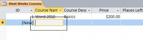 In the Course Name field, enter a course called Excel 2010 and press Enter.