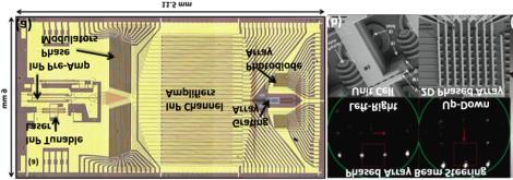 Photonic Integrated Circuit (PIC) Sensors