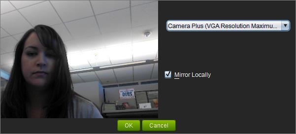 Sysco e-meeting Leader Interface, Continued Video Options Select the down carat next to the Camera button to adjust camera settings.