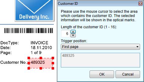Customer ID check box, a pop-up menu is opened and a selection area can be drawn with the mouse directly inside the preview pane.