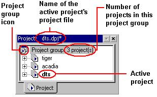 Environment The Project window can include two sub-tabs: The Project tab, which is always available, displays a hierarchal representation of a debug session s projects, folders, files, and