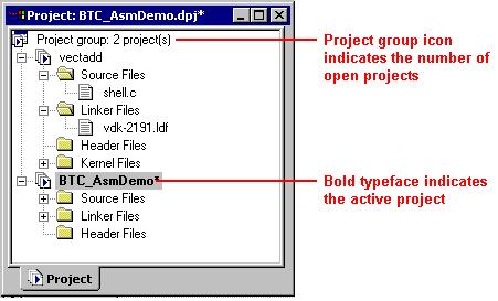 Processor Projects Project options also specify the following information.