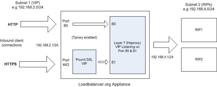 Example 2 SSL (Pound) Termination with Tproxy enabled: In this example Pound is also used to terminate SSL.