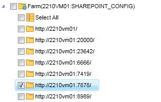 Web Cntent Site List/ Reprt Level\ What t Reprt Farm Site Ntes What t Select applicatin Database